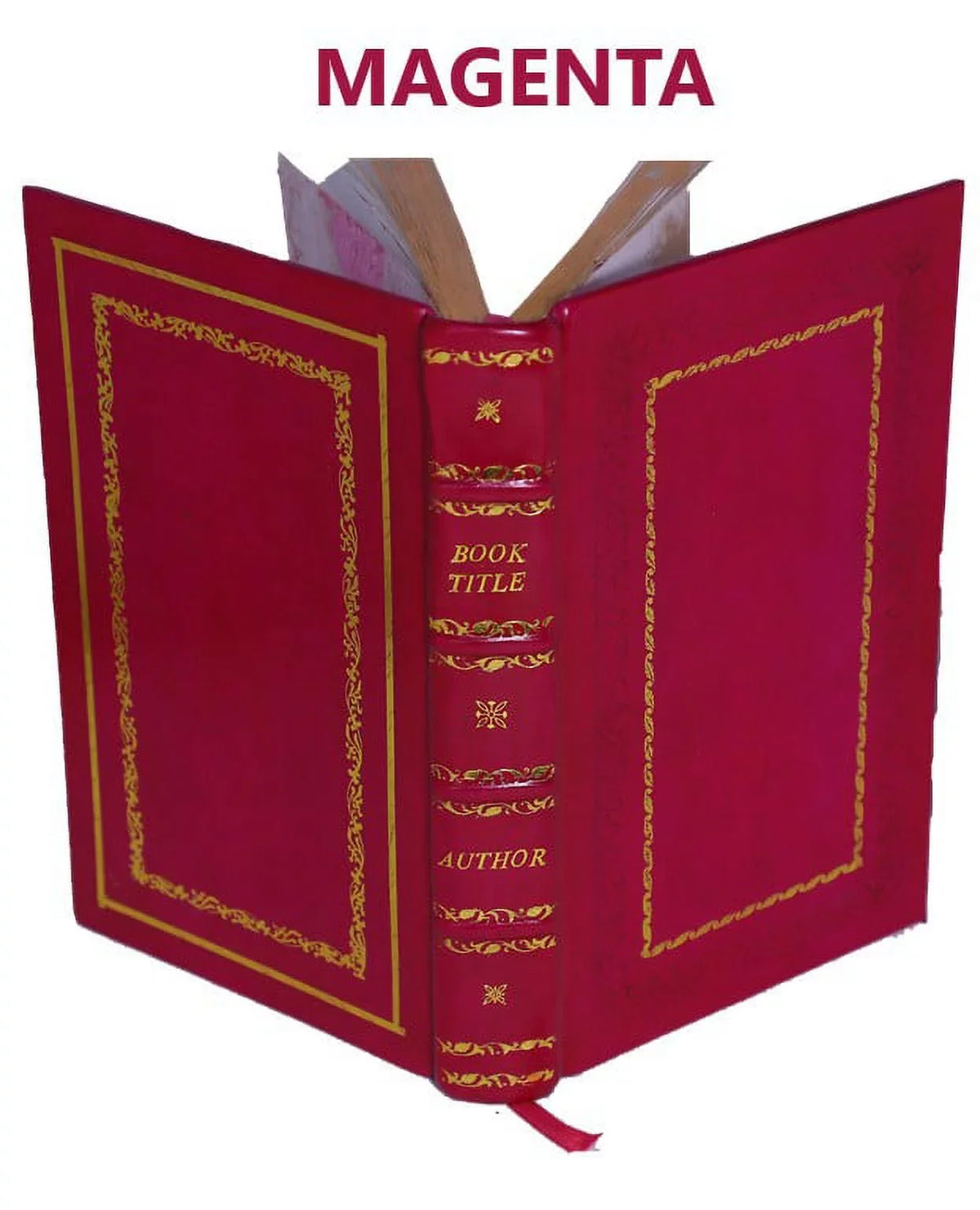 Les Vies des .. Peres des deserts et saintes solitaires d'Orient et d'Occident Volume 4 1714 [Premium Leather Bound]