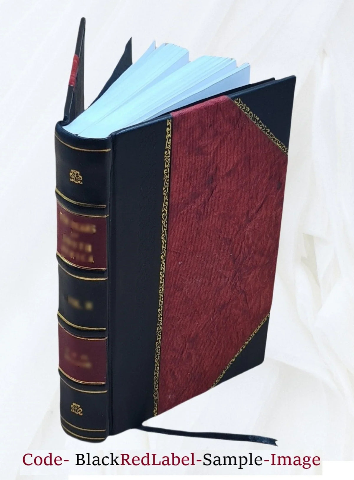 Les pénitants blancs et les pénitents bleus de la ville de Montpellier : leurs origines, leur histoire, leurs règles / [. Delalain]. 1874 [Leather Bound]